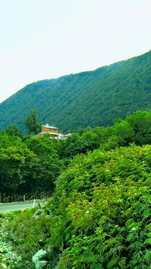 Discover Kinchkha Satsiskvilo المظهر الخارجي الصورة
